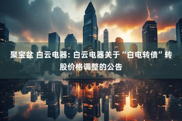 聚宝盆 白云电器: 白云电器关于“白电转债”转股价格调整的公告