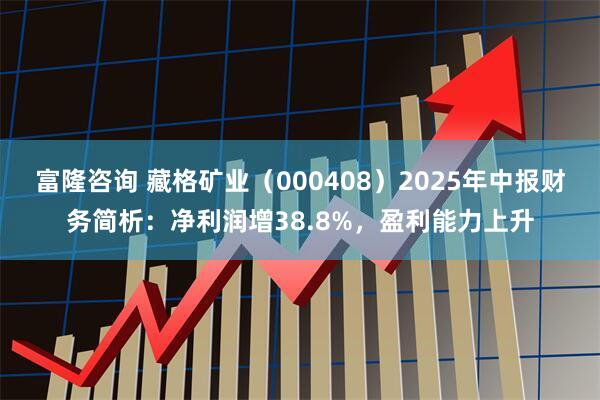 富隆咨询 藏格矿业（000408）2025年中报财务简析：净利润增38.8%，盈利能力上升